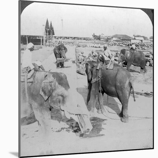 Elephants Working in a Timber Yard, India, C1900s-Underwood & Underwood-Mounted Photographic Print