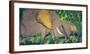Elephants-Walasse Ting-Framed Art Print