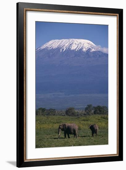 Elephants-DLILLC-Framed Photographic Print