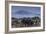 Elephants-DLILLC-Framed Photographic Print