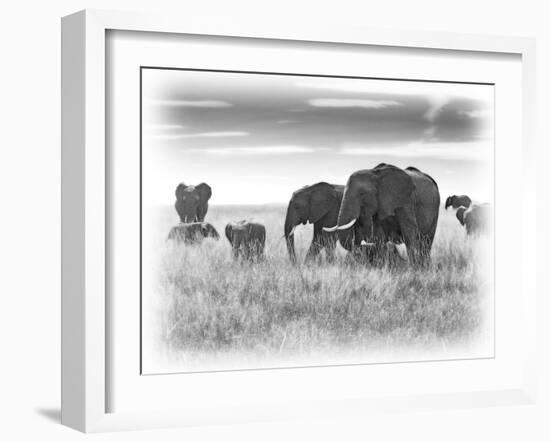 Eles-Sarah Farnsworth-Framed Photographic Print