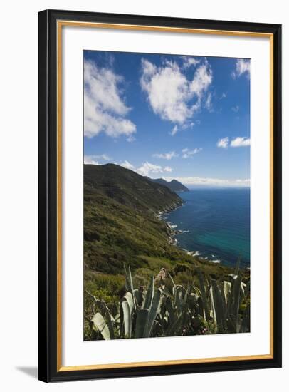 Elevated Costal View of Morsiglia, Le Cap Corse, Corsica, France-Walter Bibikow-Framed Photographic Print