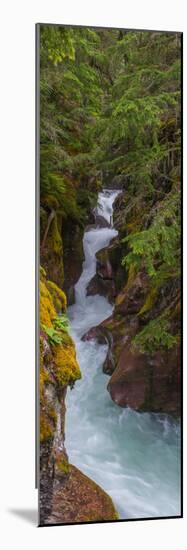 Elevated View of a Creek, Mcdonald Creek, Us Glacier National Park, Montana, USA-null-Mounted Photographic Print