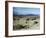 Elevated View of a Us Military Camp, Sahara, 1943-Margaret Bourke-White-Framed Photographic Print