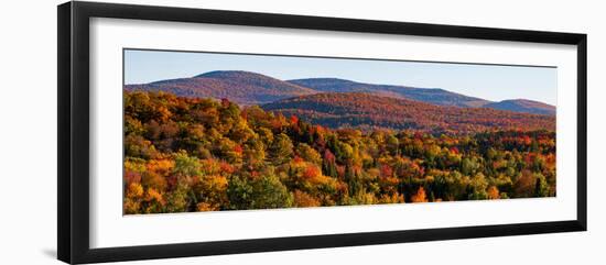 Elevated view of autumn trees on rolling hill, West Bolton, Quebec, Canada-null-Framed Photographic Print