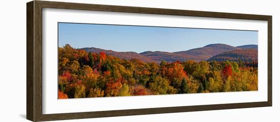 Elevated view of autumn trees on rolling hill, West Bolton, Quebec, Canada-null-Framed Photographic Print