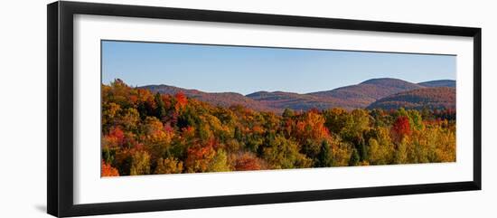 Elevated view of autumn trees on rolling hill, West Bolton, Quebec, Canada-null-Framed Photographic Print