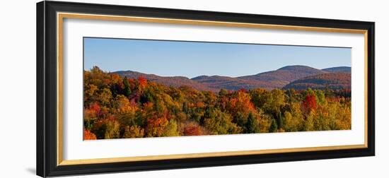 Elevated view of autumn trees on rolling hill, West Bolton, Quebec, Canada-null-Framed Photographic Print