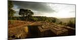 Photographic Print