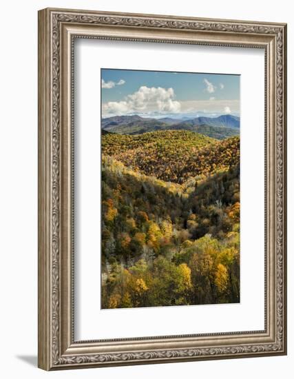 Elevated View of Fall Colors from Grassy Ridge Overlook, North Carolina-Adam Jones-Framed Photographic Print