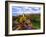 Elevated view of Grosse Point Lighthouse in Evanston, Cook County, Illinois, USA-null-Framed Photographic Print