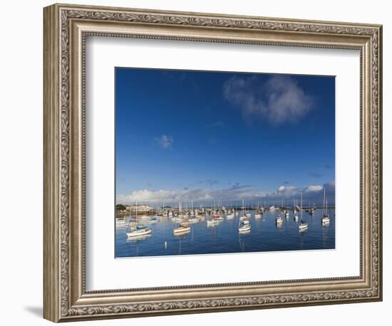 Elevated View of Monterey Bay, Fisherman's Wharf, Monterey, Central Coast, California, Usa-Walter Bibikow-Framed Photographic Print