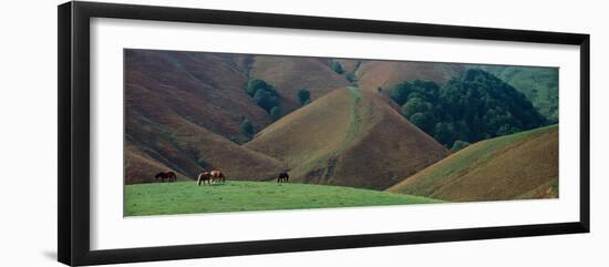 Elevated view of mountains, Erozate, Iraty Mountain, Basque Country, Pyrenees-Atlantiques, France-null-Framed Photographic Print
