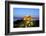 Elevated View of Old Fortress and Maitland Rotunda, Greek Islands-Neil Farrin-Framed Photographic Print