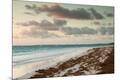 Photographic Print