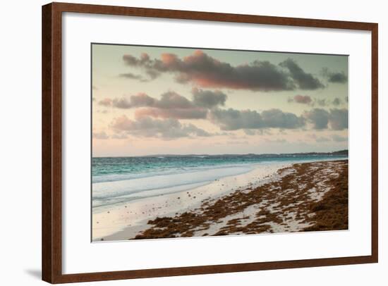 Elevated view of Pink Sands Beach, Dunmore Town, Harbour Island, Eleuthera Island, Bahamas-null-Framed Photographic Print