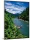 Premium Photographic Print