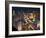 Elevated View of the Hotels and Casinos Along the Strip at Dusk, Las Vegas, Nevada, USA-Gavin Hellier-Framed Photographic Print