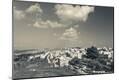 Photographic Print