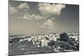 Photographic Print