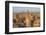 Elevated View of the Old City of Sanaa, UNESCO World Heritage Site, Yemen, Middle East-Bruno Morandi-Framed Photographic Print