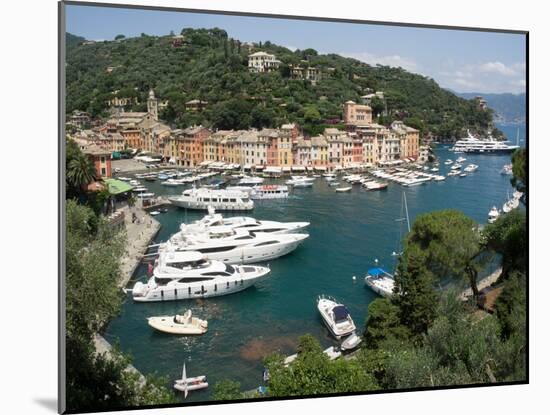 Elevated view of the Portofino, Liguria, Italy-null-Mounted Photographic Print