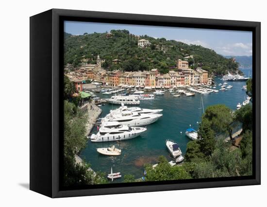 Elevated view of the Portofino, Liguria, Italy-null-Framed Premier Image Canvas