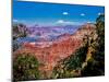 Elevated view of the rock formations in a canyon, Yavapai Point, South Rim, Grand Canyon Nationa...-null-Mounted Photographic Print