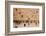 Elevated view of the Western Wall Plaza with people praying at the wailing wall, Jewish Quarter...-null-Framed Photographic Print