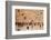 Elevated view of the Western Wall Plaza with people praying at the wailing wall, Jewish Quarter...-null-Framed Photographic Print