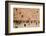 Elevated view of the Western Wall Plaza with people praying at the wailing wall, Jewish Quarter...-null-Framed Photographic Print