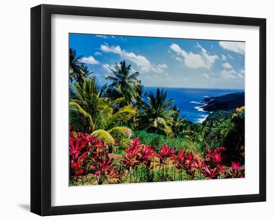 Elevated view of trees and plants on the East Coast, Dominica-null-Framed Photographic Print