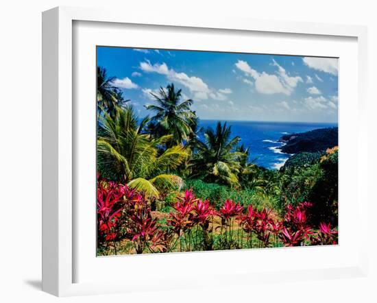 Elevated view of trees and plants on the East Coast, Dominica-null-Framed Photographic Print