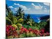 Premium Photographic Print