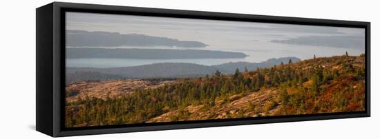 Elevated view of trees, Mount Desert Island, Acadia National Park, Hancock County, Maine, USA-null-Framed Premier Image Canvas