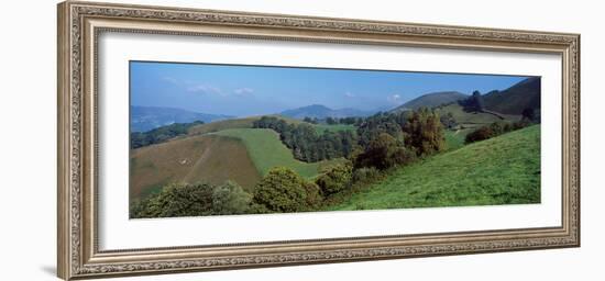 Elevated view of trees on a hill, Urepel, Iraty Mountain, Basque Country, Pyrenees-Atlantiques,...-null-Framed Photographic Print