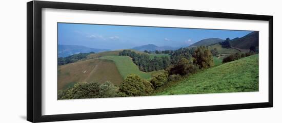 Elevated view of trees on a hill, Urepel, Iraty Mountain, Basque Country, Pyrenees-Atlantiques,...-null-Framed Photographic Print