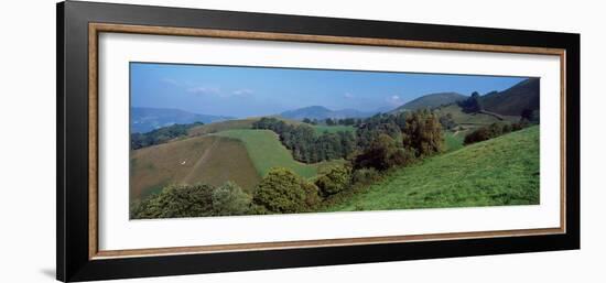 Elevated view of trees on a hill, Urepel, Iraty Mountain, Basque Country, Pyrenees-Atlantiques,...-null-Framed Photographic Print