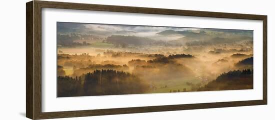 Elevated view of trees on hill in morning, Rudawy Hills, Poland-null-Framed Photographic Print