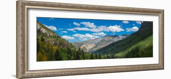 Elevated view of trees on landscape along Country Road 361, Camp Bird Road, San Juan Mountains,...-null-Framed Photographic Print