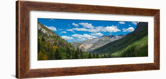 Elevated view of trees on landscape along Country Road 361, Camp Bird Road, San Juan Mountains,...-null-Framed Photographic Print