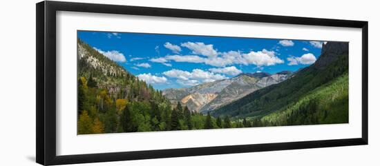 Elevated view of trees on landscape along Country Road 361, Camp Bird Road, San Juan Mountains,...-null-Framed Photographic Print