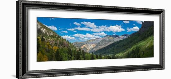 Elevated view of trees on landscape along Country Road 361, Camp Bird Road, San Juan Mountains,...-null-Framed Photographic Print