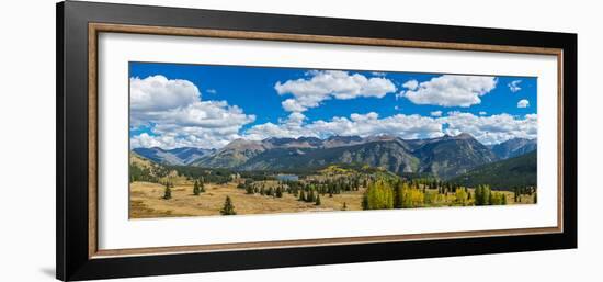 Elevated view of trees on landscape from Molas Pass on U.S. Route 550, Silverton, San Juan Mount...-null-Framed Photographic Print