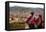 Elevated View over Cuzco and Plaza De Armas, Cuzco, Peru, South America-Yadid Levy-Framed Premier Image Canvas