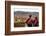 Elevated View over Cuzco and Plaza De Armas, Cuzco, Peru, South America-Yadid Levy-Framed Photographic Print