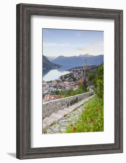 Elevated View over Kotor's Stari Grad (Old Town) and the Bay of Kotor, Kotor, Montenegro-Doug Pearson-Framed Photographic Print