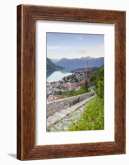 Elevated View over Kotor's Stari Grad (Old Town) and the Bay of Kotor, Kotor, Montenegro-Doug Pearson-Framed Photographic Print