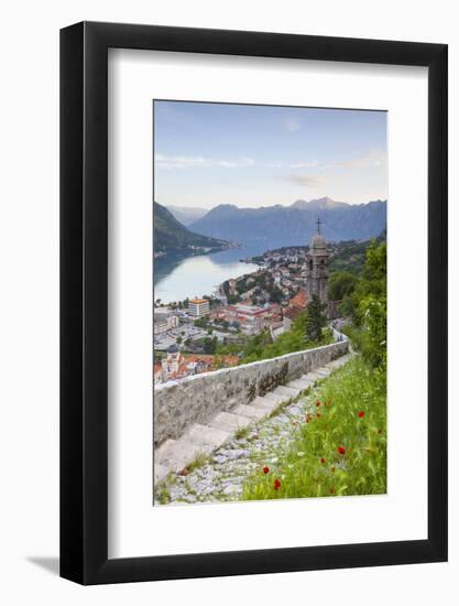 Elevated View over Kotor's Stari Grad (Old Town) and the Bay of Kotor, Kotor, Montenegro-Doug Pearson-Framed Photographic Print