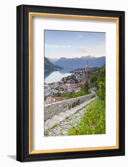 Elevated View over Kotor's Stari Grad (Old Town) and the Bay of Kotor, Kotor, Montenegro-Doug Pearson-Framed Photographic Print